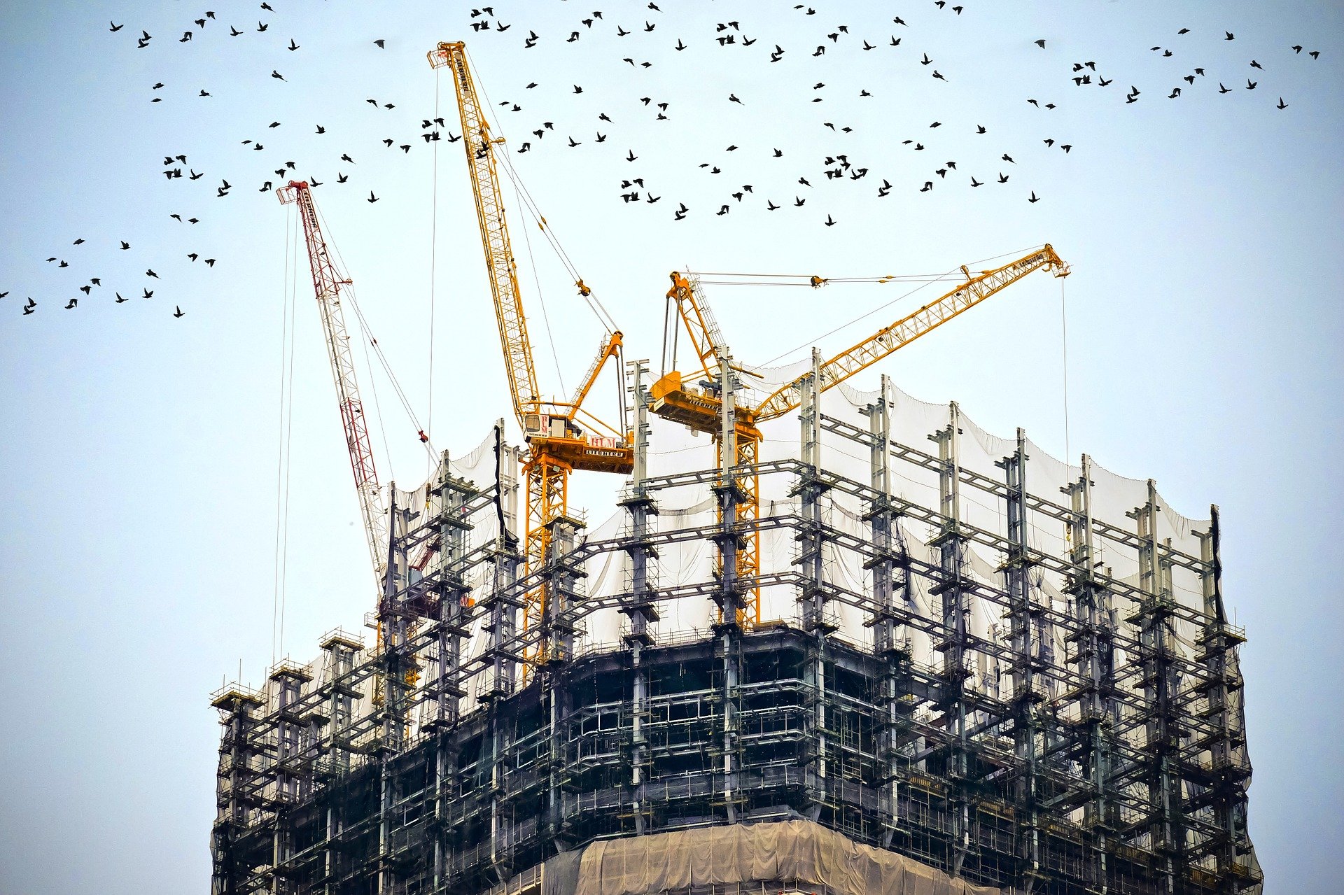 On-site discussion of financial management